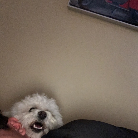 Meet your Posher, James - Picture 1 of 1